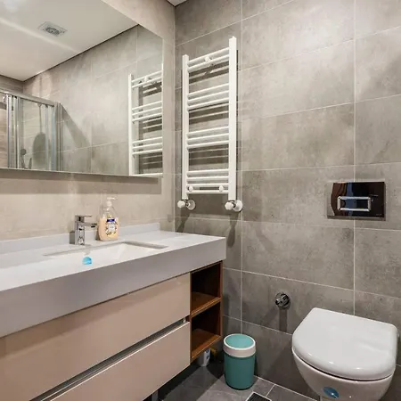 Apartment Basaksehir Turkey Istanbul